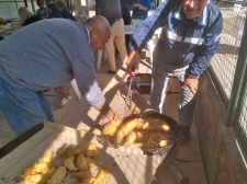 festa_madonna_5.jpg