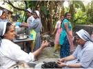 kerala_1.jpg
