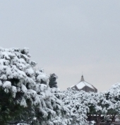 roma_innevata_5.jpg