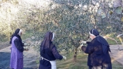 spirito_collaborazione_3.jpg