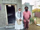 pallott_colony10.jpg