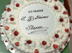piccoli_gabbiani_2.jpg