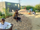 pallott_colony4.jpg