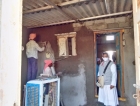pallott_colony8.jpg